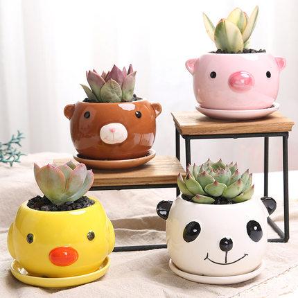 创意多肉花盆室内陶瓷花盆带托盘可爱动物个性卡通多肉植物小花盆