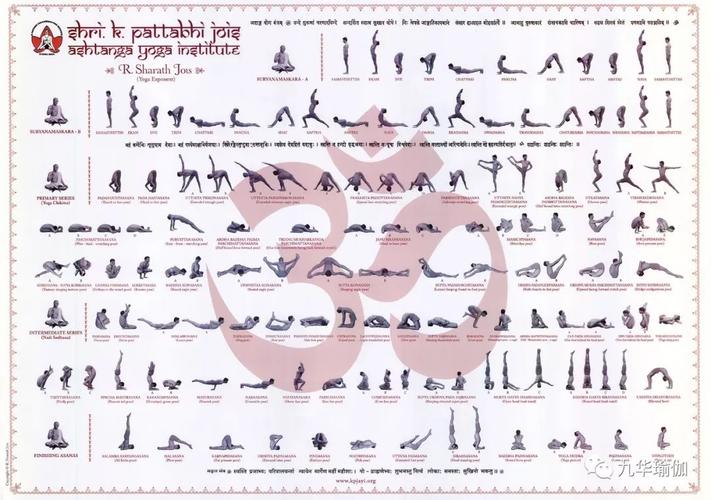 阿斯汤伽一级序列7天密集培训九华山站