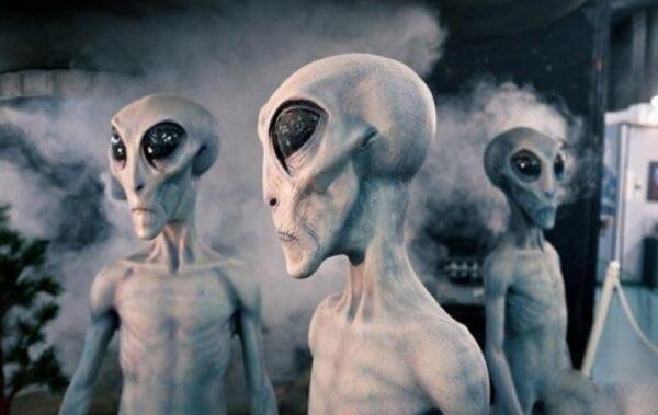 外星小灰人的2030计划,通过基因改造控制地球(谣言故事)