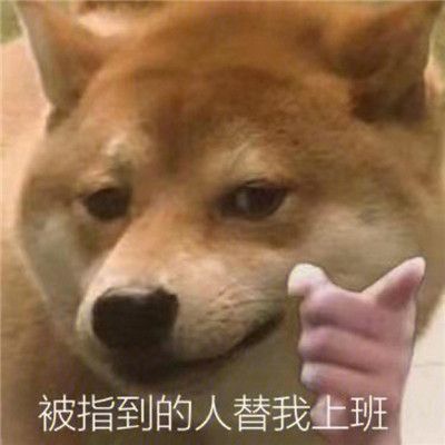 十分可爱搞笑的狗狗柴犬聊天斗图表情包