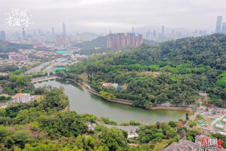 in视频今日深圳银湖绿意盎然层峦环抱