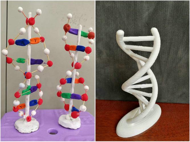 济南一中举行"dna结构模型制作大赛"