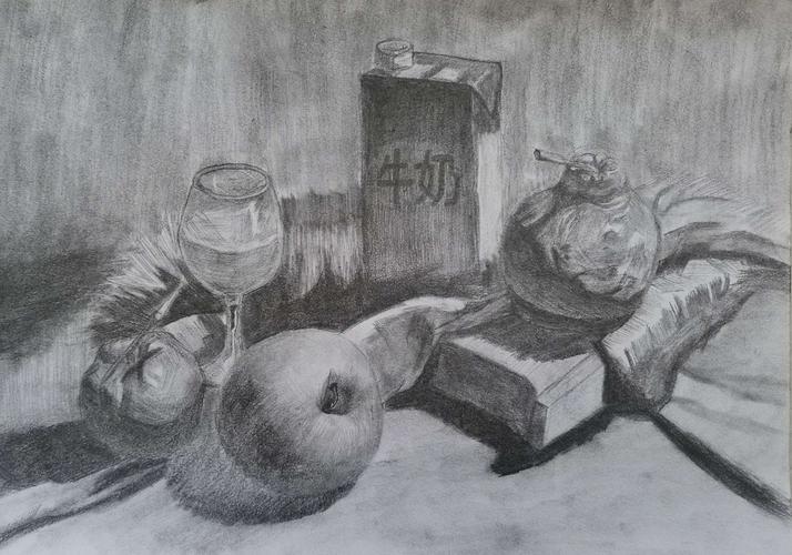 1)素描静物(临摹和写生)