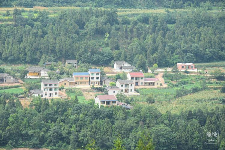 南部县永红乡千佛观村新农村美景,,快来围观吧.漂亮