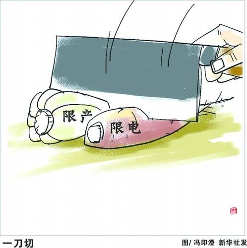 基层干部抱怨政策"一刀切":叫你活就活,叫你死就死