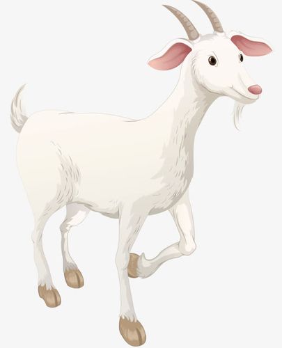 关键词 : 动物,山羊,手绘,卡通