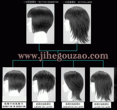 美发技术培训-二分区的基本结构