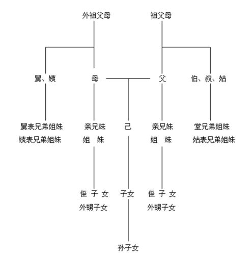 扩展资料: 直系亲属, 指和自己有直接血缘关系或婚姻关系的人,如指