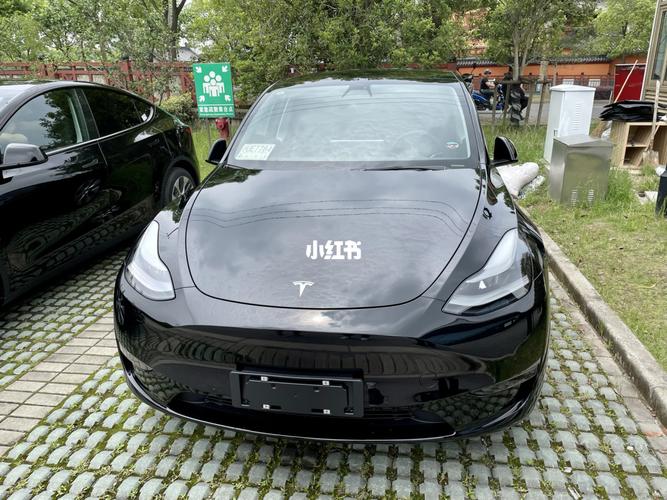 年轻人的第一辆07_提车_特斯拉怎么样_毛豆_教程_特斯拉modely_汽车