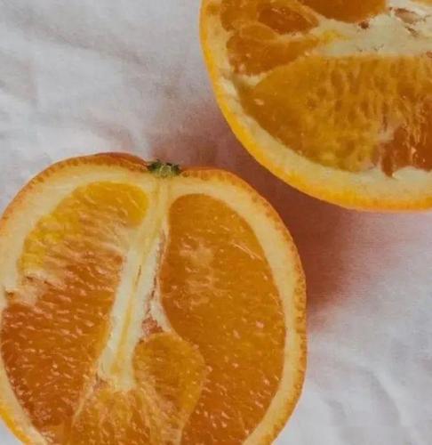 在橙子切面的图形上展开想象,联想出多种物体,并通过添画表现其主要