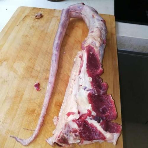 现宰放养土黄牛牛尾巴,整根牛尾巴,整切牛尾巴,新鲜速冻发货.