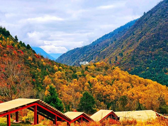 旅游_孟屯河谷风景区自由行热门攻略_徒步_风景_秋天去哪玩_孟屯河谷