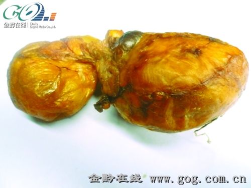 天然牛黄. 10月29日那天上午,杨老汉向往常一样,牵着牛去上坡放养.
