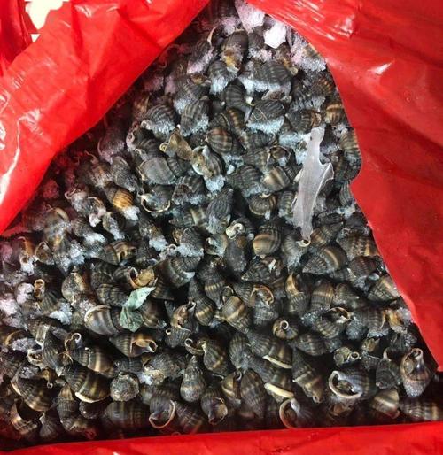 这种螺有剧毒,能致命,不能吃不能卖!已有9人贩卖被判刑