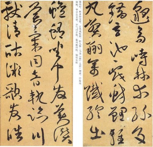 明代书法:祝允明行书《乐志论》欣赏