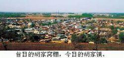 胡家窝棚战斗
