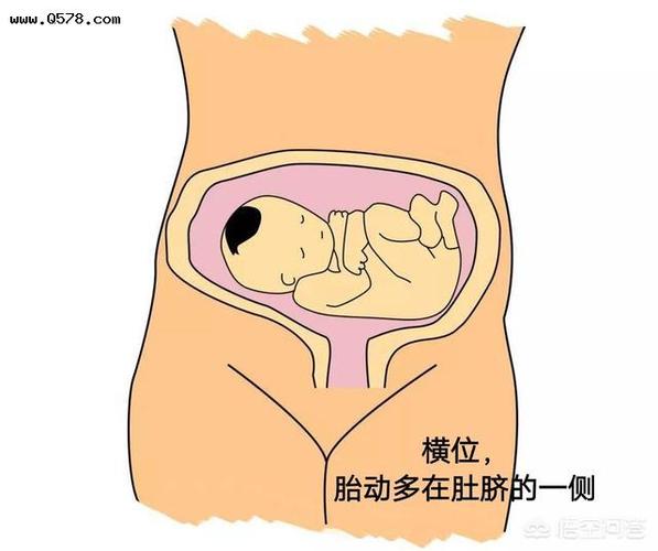 怀孕31周胎动一直在肚脐眼下方或者右边和左边就是没在肚脐上面动过这