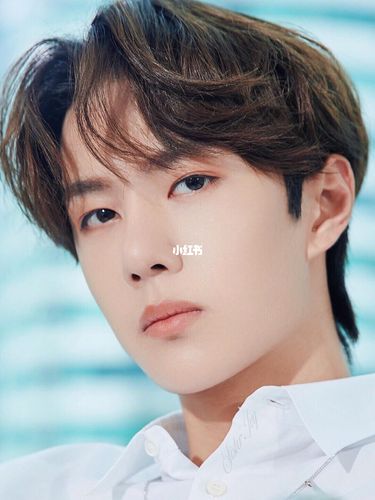 精致的五官,盛世的容颜_王一博_娱乐_明星娱乐资讯