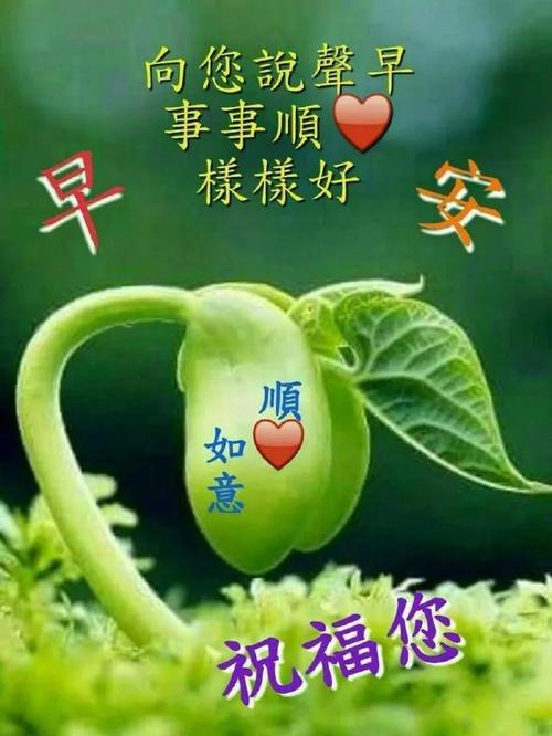 愿清晨的问候给你带来一份清爽的心情,早安|好心情|好