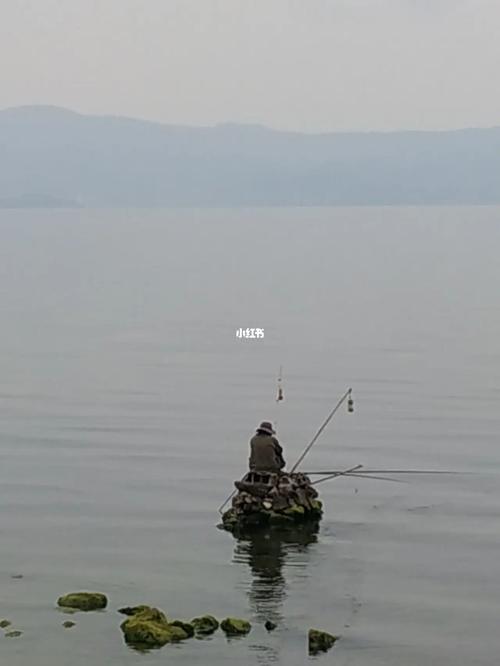 有时候不得不服钓鱼佬_体育运动_垂钓