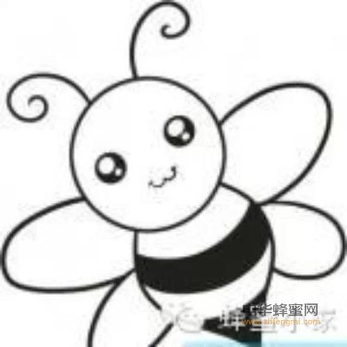 五个小技巧教你轻松辨别真假蜂蜜