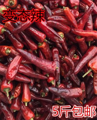 重庆石柱红3号 特辣 干辣椒干海椒 朝天椒重庆小面 火锅底料专用