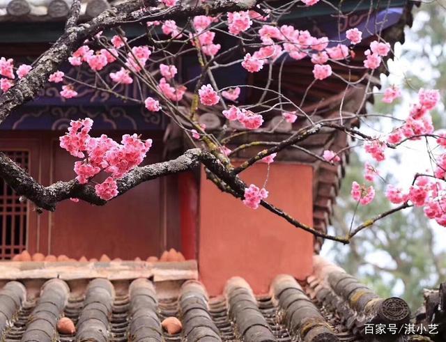 人间四月芳菲尽,山寺桃花始盛开