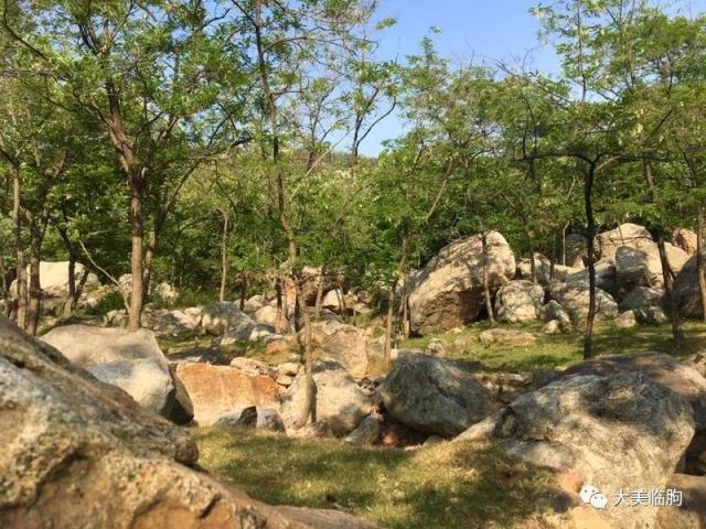 临朐九山有个村叫黄土地,十几户人,在深山里,世外桃源