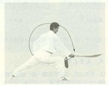 赵堡太极双刀反手三刀图解