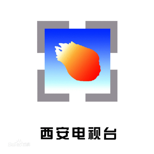 西安电视台综合节目