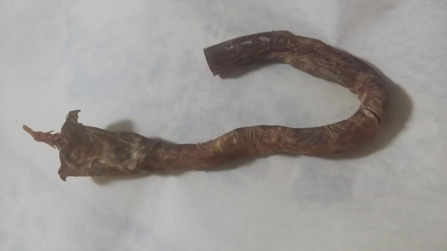 家里有根40-50年的虎鞭,有43克,不知道现在市场价值多少,想卖掉.