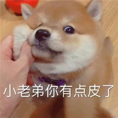 可爱猫咪最新搞笑聊天表情包不要高估你和任何人的关系