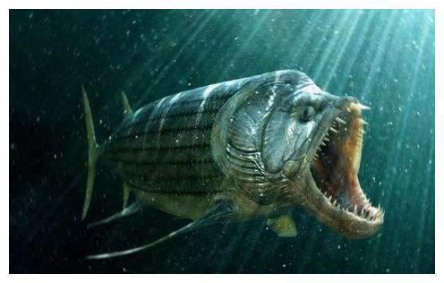 阿根廷荒漠发现"巨鱼",身长6米长相吓人,和恐龙同一时代