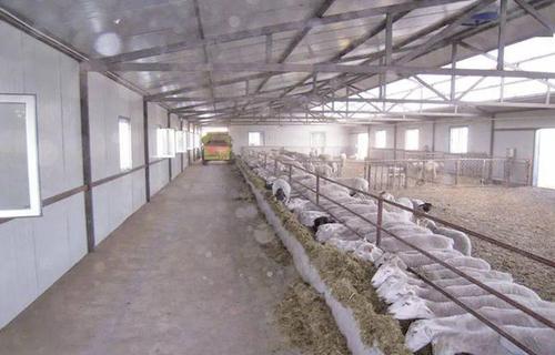 5种最实用的羊舍类型!哪一种最适合你?