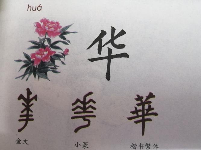 甲骨文的"华"字,正是一棵开满花的树.