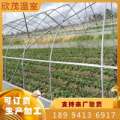 供应温室大棚 蔬菜大棚 大棚骨架 养殖大棚 无锡专业厂家生产批发