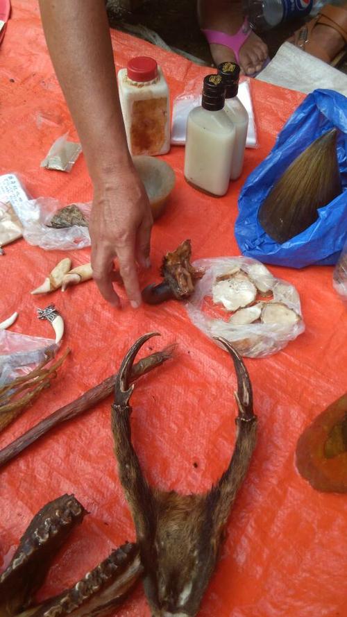 请问老虎的爪子有黑色的么?像图片中那样