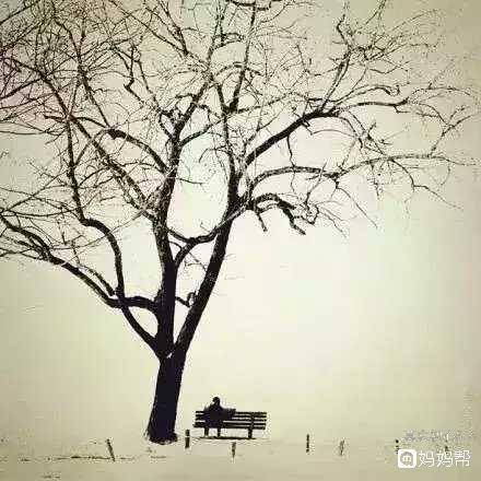 一棵树 一个人无论在哪里都要摇曳着生