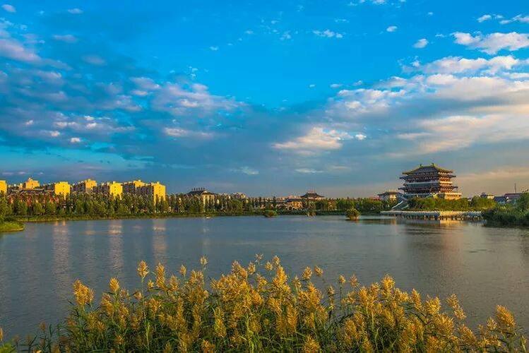 看图知道宁夏灵武有多美