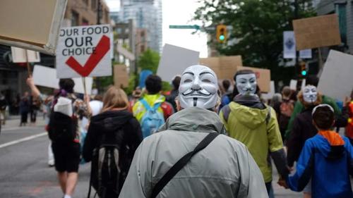 gmo: frankenfoods, facts and fictions