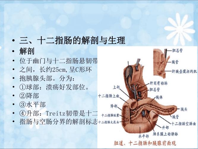 第二十六章胃十二指肠疾病病人的护理