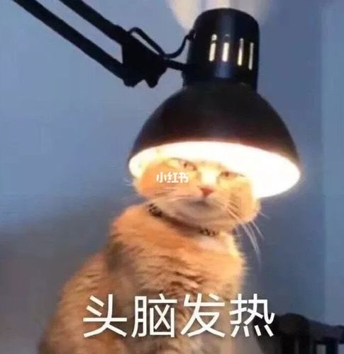 最近的逗逼朋友圈配图_朋友圈配图_素材_素材其他