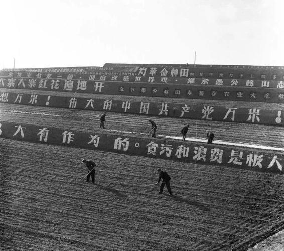 农业学大寨的标语