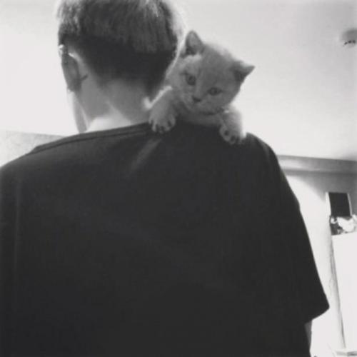 情侣头像简单黑白