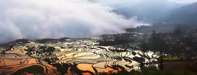 丽中国 | 云南元阳红河哈尼梯田