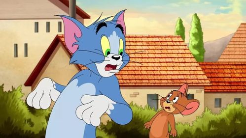 头像&背景图 汤姆&杰瑞