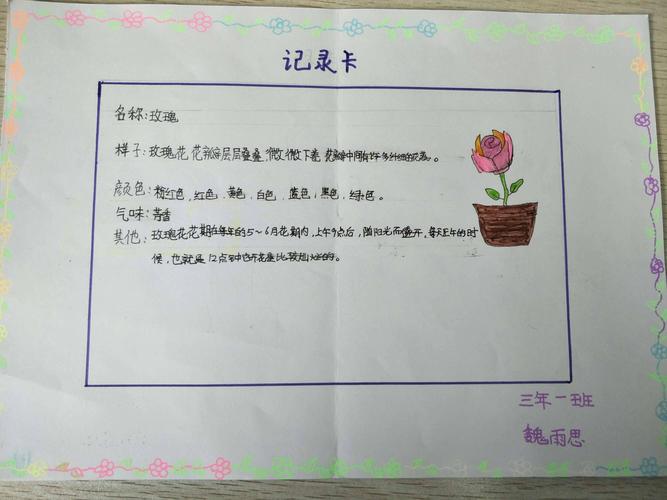 植物记录卡——三年一班