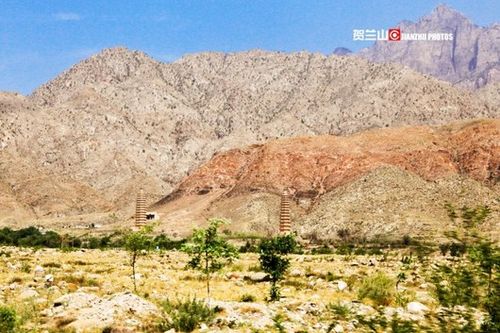 贺兰山东麓行