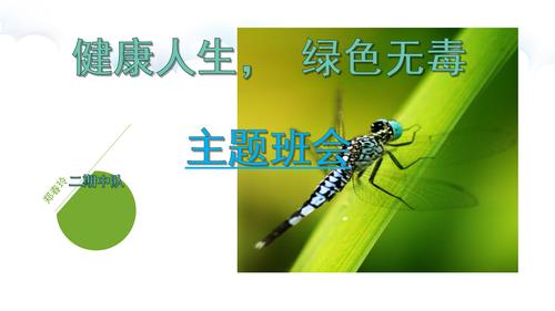 主题班会课件健康人生,绿色无毒.ppt