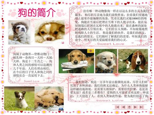 可爱的狗狗 ppt
